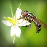 /album/tanfomahal/photolia-a02-jpg/