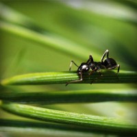 /album/tanfomahal/photolia-a05-jpg/