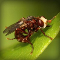 /album/tanfomahal/photolia-a06-jpg/