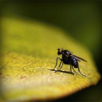 /album/tanfomahal/photolia-a07-jpg/